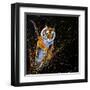 Tiger Leaping-null-Framed Art Print