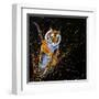 Tiger Leaping-null-Framed Art Print