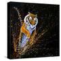 Tiger Leaping-null-Stretched Canvas