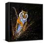 Tiger Leaping-null-Framed Stretched Canvas