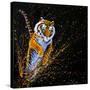 Tiger Leaping-null-Stretched Canvas