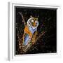 Tiger Leaping-null-Framed Premium Giclee Print