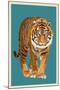 Tiger - Letterpress-Lantern Press-Mounted Art Print