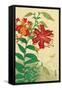 Tiger Lilies and Butterfly-Koson Ohara-Framed Stretched Canvas