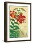 Tiger Lilies and Butterfly-Koson Ohara-Framed Giclee Print