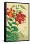 Tiger Lilies and Butterfly-Koson Ohara-Framed Stretched Canvas
