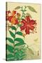 Tiger Lilies and Butterfly-Koson Ohara-Stretched Canvas