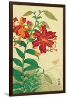 Tiger Lilies and Butterfly-Koson Ohara-Framed Giclee Print