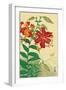 Tiger Lilies and Butterfly-Koson Ohara-Framed Premium Giclee Print