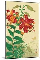 Tiger Lilies and Butterfly-Koson Ohara-Mounted Premium Giclee Print