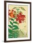 Tiger Lilies and Butterfly-Koson Ohara-Framed Giclee Print