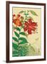 Tiger Lilies and Butterfly-Koson Ohara-Framed Giclee Print