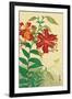 Tiger Lilies and Butterfly-Koson Ohara-Framed Giclee Print