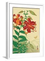 Tiger Lilies and Butterfly-Koson Ohara-Framed Giclee Print