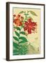 Tiger Lilies and Butterfly-Koson Ohara-Framed Giclee Print