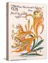Tiger Lilies, Illustration from 'Flora's Feast' by Walter Crane, First Published 1889-Walter Crane-Stretched Canvas