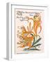 Tiger Lilies, Illustration from 'Flora's Feast' by Walter Crane, First Published 1889-Walter Crane-Framed Giclee Print