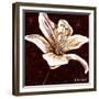 Tiger Lily 1-Cherie Roe Dirksen-Framed Giclee Print