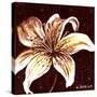 Tiger Lily 2-Cherie Roe Dirksen-Stretched Canvas
