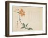 Tiger Lily, C.1861-64-Shumpo-Framed Giclee Print