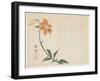 Tiger Lily, C.1861-64-Shumpo-Framed Giclee Print