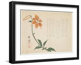 Tiger Lily, C.1861-64-Shumpo-Framed Giclee Print