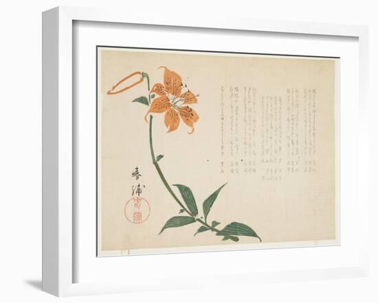 Tiger Lily, C.1861-64-Shumpo-Framed Giclee Print