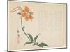 Tiger Lily, C.1861-64-Shumpo-Mounted Giclee Print
