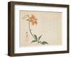 Tiger Lily, C.1861-64-Shumpo-Framed Giclee Print