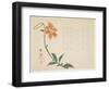 Tiger Lily, C.1861-64-Shumpo-Framed Giclee Print