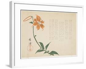 Tiger Lily, C.1861-64-Shumpo-Framed Giclee Print