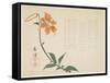 Tiger Lily, C.1861-64-Shumpo-Framed Stretched Canvas