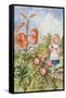 Tiger Lily, from 'Through the Looking Glass' by Lewis Carroll (1832-98)-John Tenniel-Framed Stretched Canvas