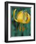 Tiger Lily, Olympic National Park, Washington, USA-William Sutton-Framed Photographic Print