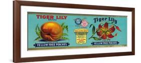 Tiger Lily Peach Label - San Francisco, CA-Lantern Press-Framed Premium Giclee Print