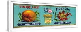 Tiger Lily Peach Label - San Francisco, CA-Lantern Press-Framed Premium Giclee Print