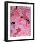 Tiger Lily Relief, 1999-Norman Hollands-Framed Photographic Print