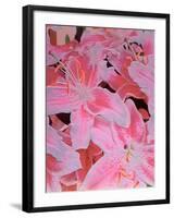 Tiger Lily Relief, 1999-Norman Hollands-Framed Photographic Print