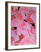 Tiger Lily Relief, 1999-Norman Hollands-Framed Photographic Print