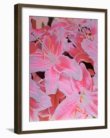 Tiger Lily Relief, 1999-Norman Hollands-Framed Photographic Print