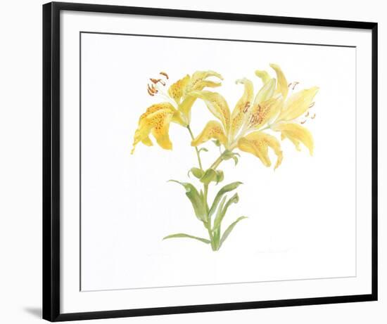 Tiger Lily-Carol Ann Bolt-Framed Collectable Print