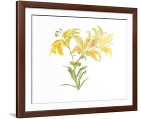 Tiger Lily-Carol Ann Bolt-Framed Collectable Print