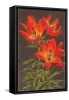 Tiger Lily-null-Framed Stretched Canvas