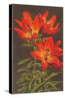 Tiger Lily-null-Stretched Canvas