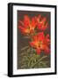 Tiger Lily-null-Framed Art Print