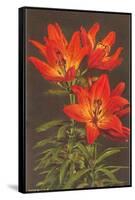 Tiger Lily-null-Framed Stretched Canvas