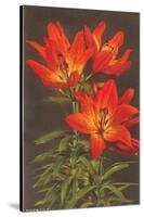 Tiger Lily-null-Stretched Canvas