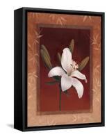 Tiger Lily-Vivien Rhyan-Framed Stretched Canvas