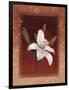 Tiger Lily-Vivien Rhyan-Framed Art Print