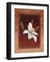 Tiger Lily-Vivien Rhyan-Framed Art Print